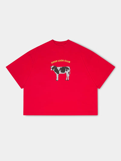 *model-* CROPPED FIT