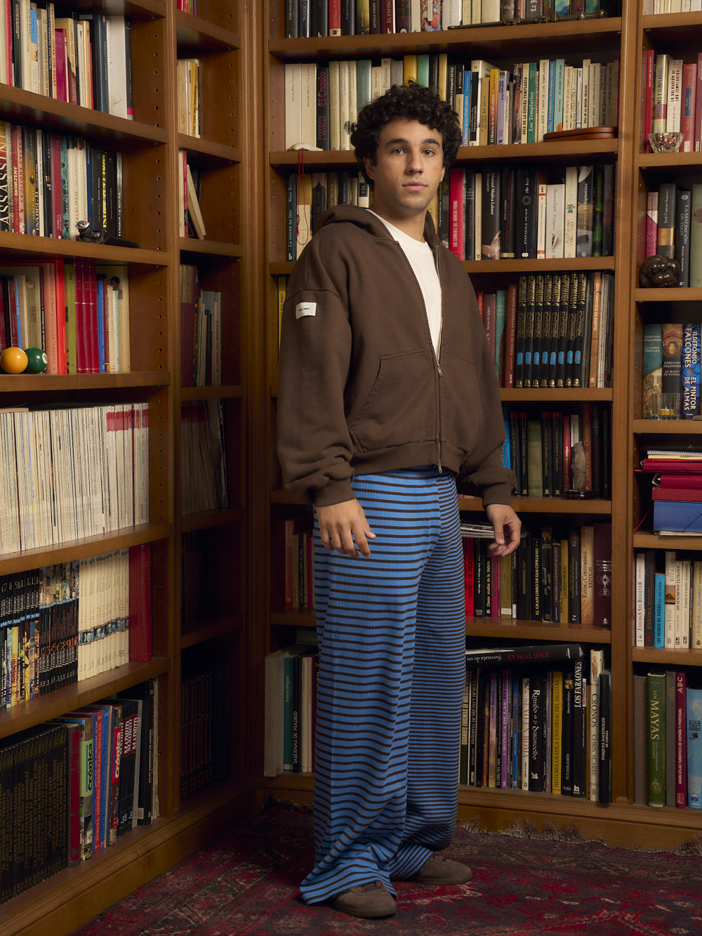 BROWN BLUE STRIPED PANTS