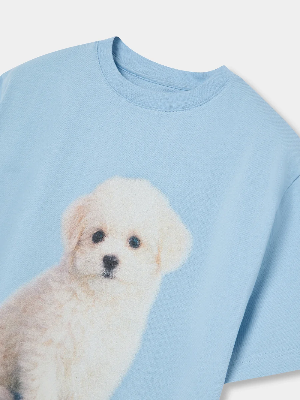 PUPPY BLUE REGULAR TEE