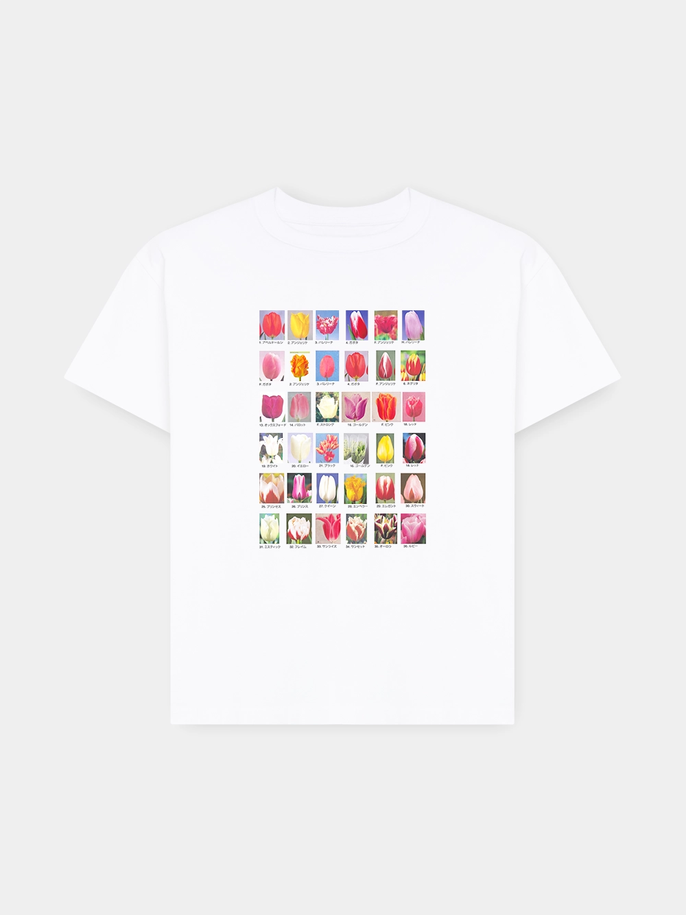 *model-* REGULAR FIT